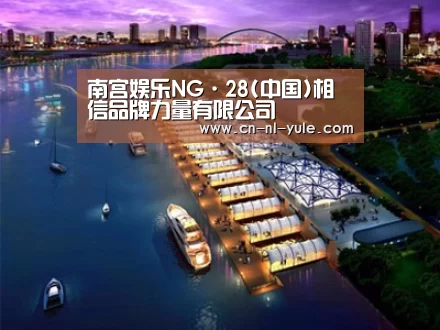 案例展示八
