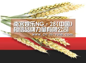 南宫娱乐NG·28(中国)相信品牌力量有限公司