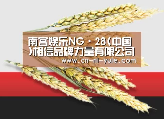 南宫娱乐NG·28(中国)相信品牌力量有限公司