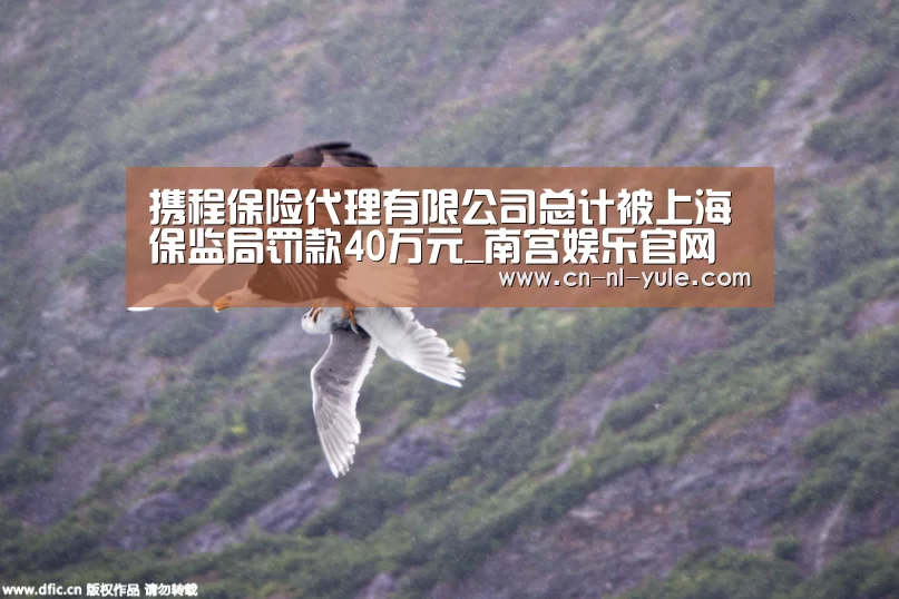 南宫娱乐官网